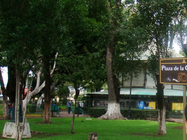 chocd08