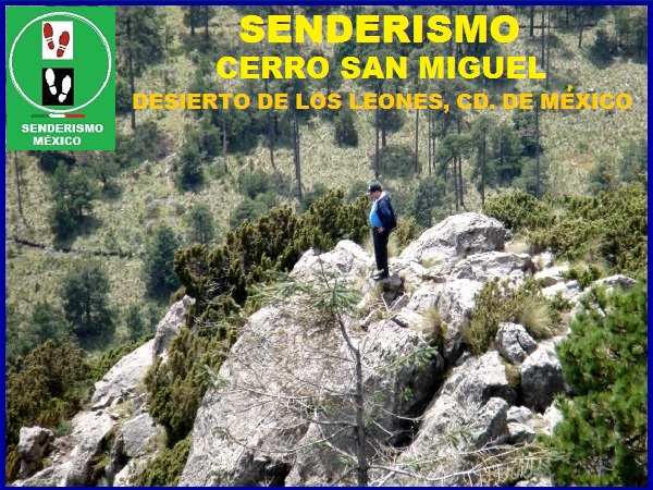 Senderismo al Cerro San Miguel, Desierto de los Leones Parque Nacional, Alcaldía Cuajimalpa Ciudad de México