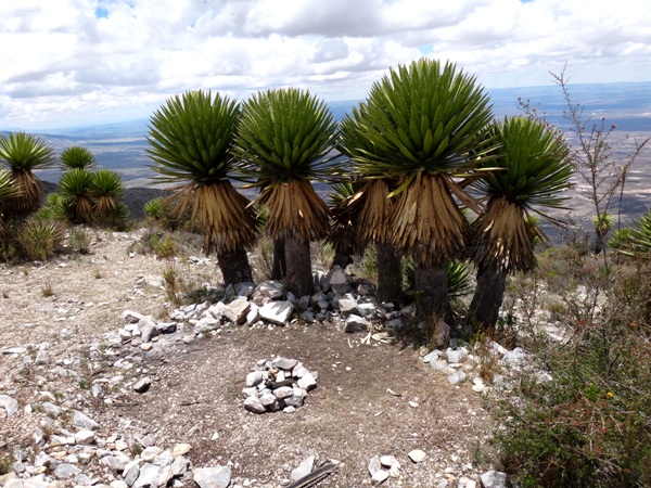 Cerro el Quemado, Santuario Huichol. 