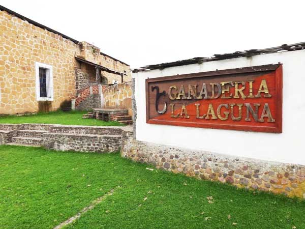 Ganadería La Laguna Hacienda y complejo turístico. Colores de la Divisa tabaco y oro. Cicloturismo México 