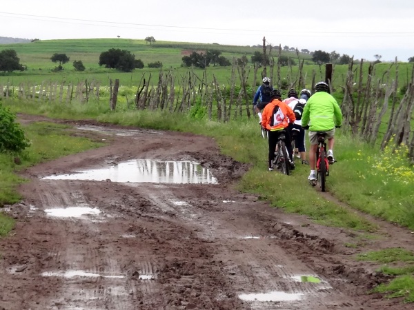 Camino de terracería y lodoso