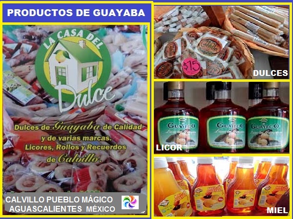 Productos de la Guayaba de Calvillo Pueblo Mágico, Estado de Aguascalientes