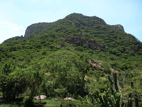 Cerro del Chumil Centro Ecoturístico, paisaje en tiempo de primavera. Jantetelco Estado de Morelos México