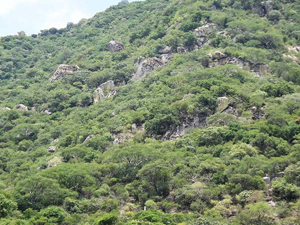 Cuevas en el Cerro del Chumil, Jantetelco Morelos