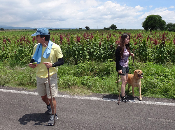 Senderistas con canino por camino rural ruta al Acueducto de Tecajec, Yecapixtla Estado de Morelos 