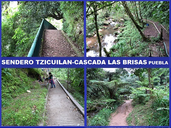 Sendero por la cañada rumbo a Cascada las Brisas, Tzicuilan Estado de Puebla