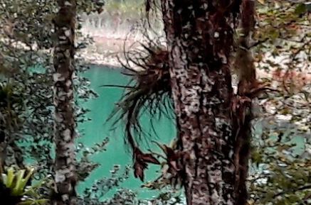 Laguna Ensueño. Lagunas de Montebello Chiapas. Cicloturismo 2017