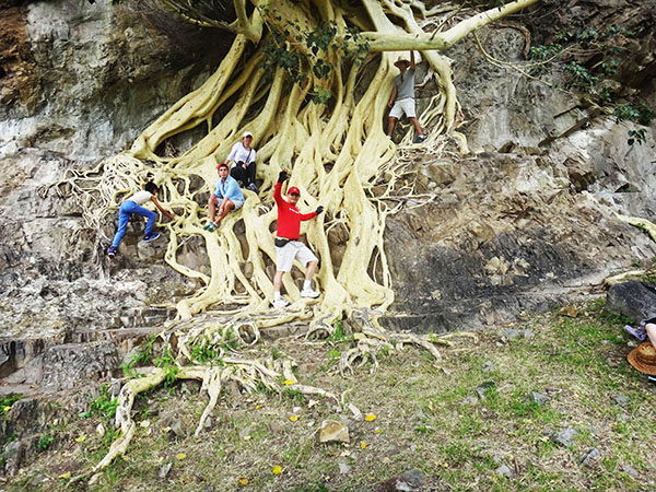 Senderistas en las raíces del árbol de Amate del Cerro Chalcatzingo, municipio ce Jantetelco Estado de Morelos México
