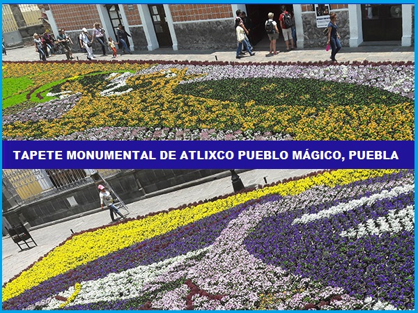 Tapete monumental de flores en el zócalo de Atlixco de las Flores Pueblo Mágico, Estado de Puebla, México, senderismo urbano