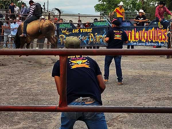 Jaripeo y los jinetes salvavidas expentantes para seguridad del jinete montando al toro. Jaripeo Jinete 2. El Paradero Amayuca Estado de Morelos