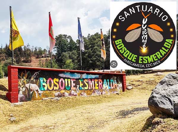 Santuario de Luciérnagas en Bosque Esmeralda Amecameca EdoMex. Grupo FitFat Bikers