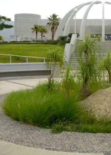 CD. VICTORIA. Museo TAMUX. Espacio central como área de encuentro, su arquitectura se integra a la topografía del terreno.