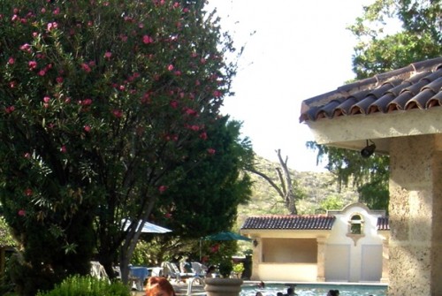 Rincón de Montero , un oasis
