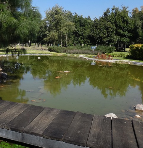 Jardín y laguna de la filantropía, Parque Ecoturístico Xochitla