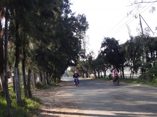 Camino para llegar a los campos de futbol de veteranos Xochimilco a un lado de la pista de canotaje Cuemanco
