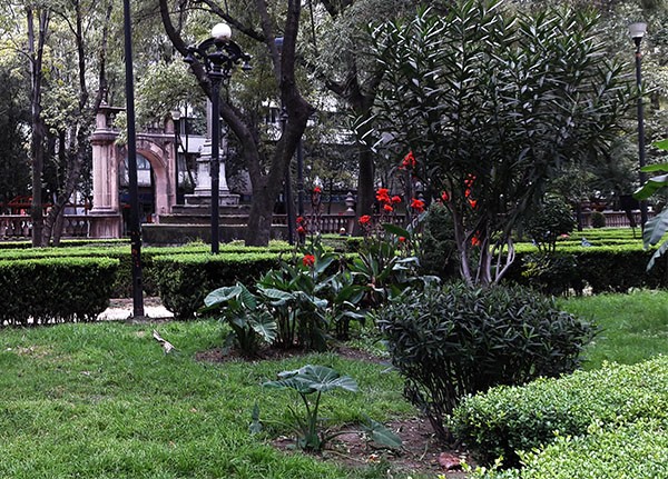 Jardín de Santiago con más de 62 especies de plantas y árboles. Nonoalco-Tlatelolco Alcaldía Cuauhtémoc, Cd. de México, senderismo urbano cultural